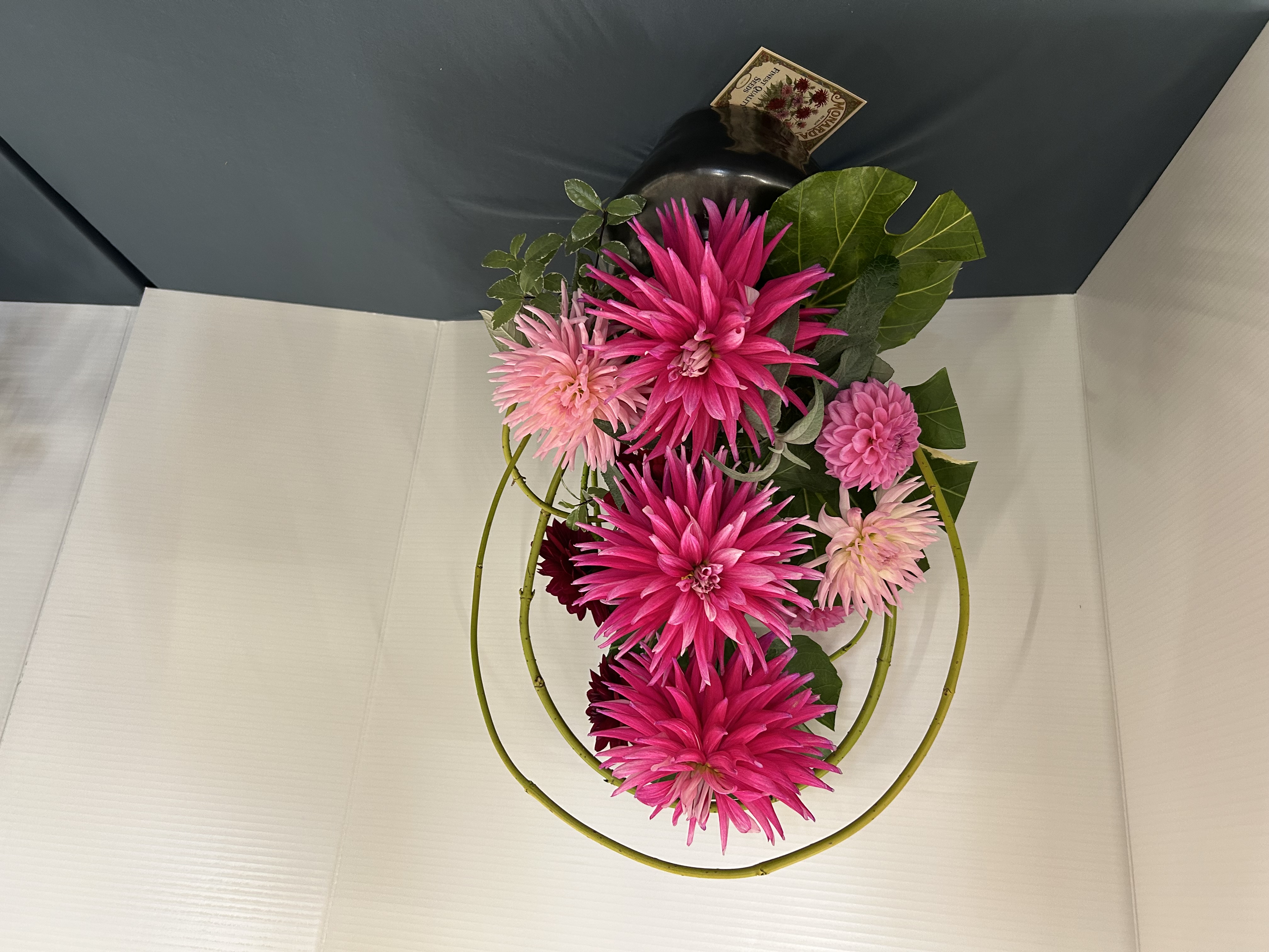 gallery img