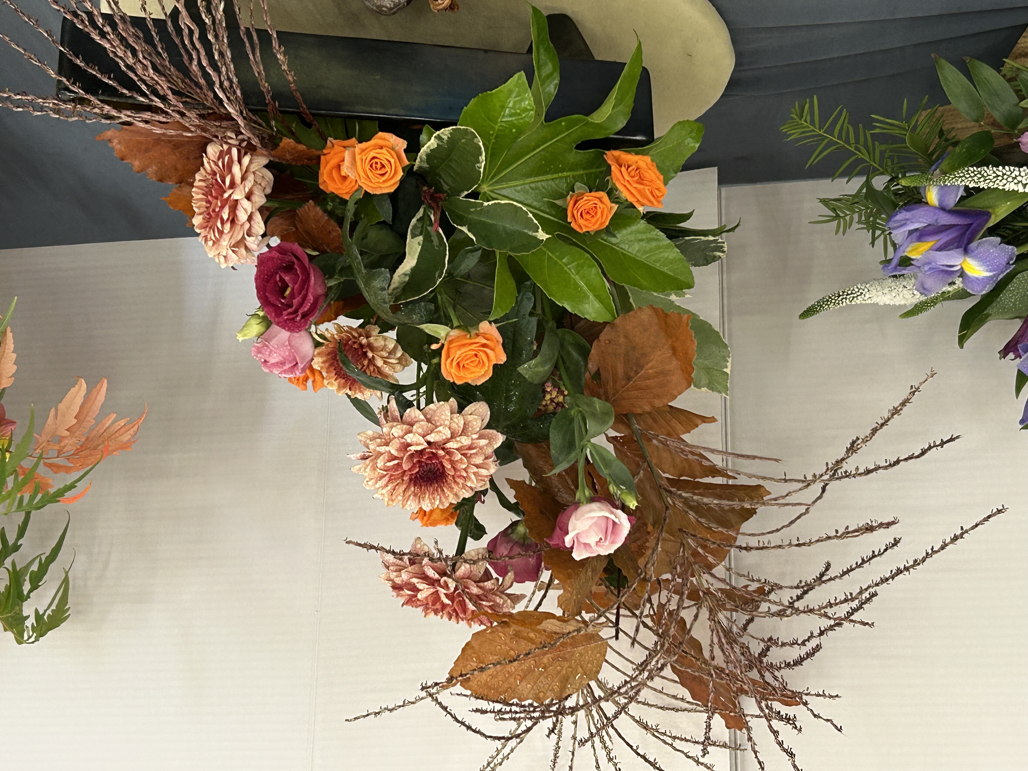 Popup Image